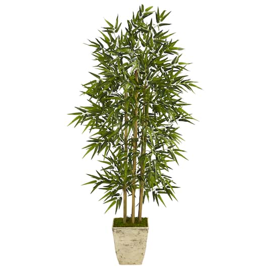 Michaels, 5.5ft. Bamboo Tree in Country White Planter – Category: Trees & Floor Plants